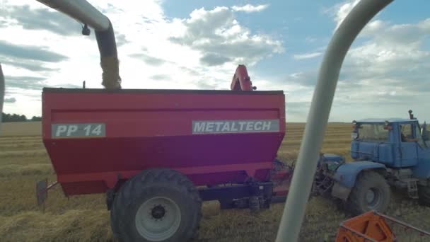 Kombinovat Stroje Sklízející Pšenici Poli — Stock video