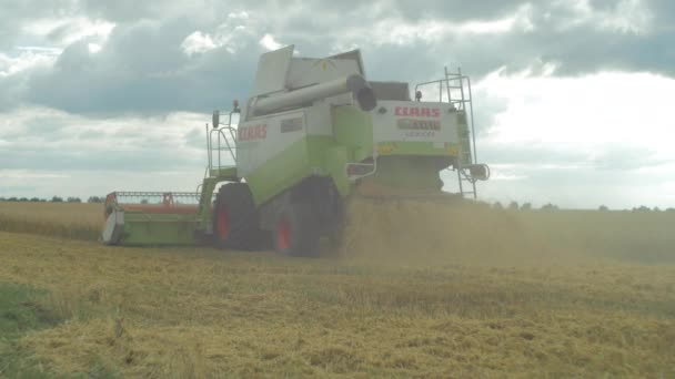 Combinar Máquina Colheita Trigo Campo — Vídeo de Stock