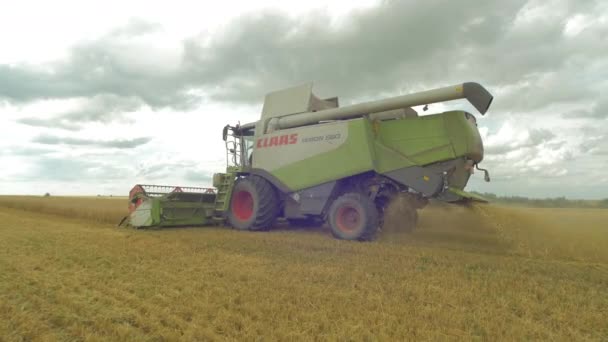 Combinar Máquina Colheita Trigo Campo — Vídeo de Stock