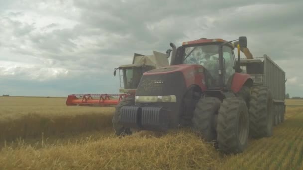 Mähdrescher Ernten Weizen Auf Dem Feld — Stockvideo