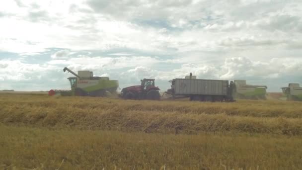 Mähdrescher Ernten Weizen Auf Dem Feld — Stockvideo