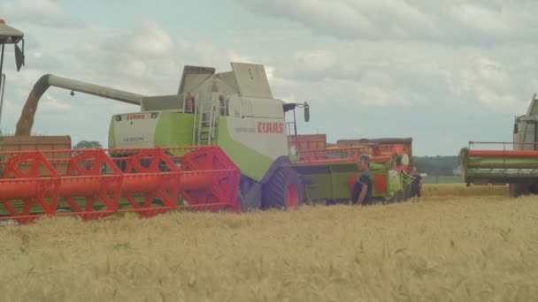 Работа Пшеничном Поле — стоковое видео