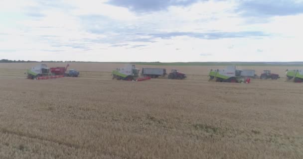 Vista Aérea Colheitas Combinadas — Vídeo de Stock