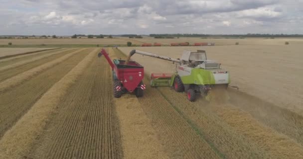 Luftaufnahmen Von Erntemaschinen Die Sich Auf Einem Weizenfeld Bewegen — Stockvideo