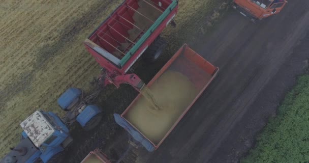 Luftaufnahme Eines Mähdreschers Beim Entladen Von Getreide — Stockvideo