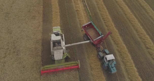 Luftaufnahmen Von Erntemaschinen Die Sich Auf Einem Weizenfeld Bewegen — Stockvideo