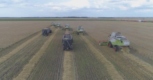 Widok Lotu Ptaka Pole Kombajnów Ciągników — Wideo stockowe