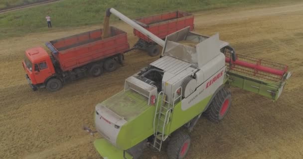 Luftaufnahmen Von Erntemaschinen Auf Einem Weizenfeld — Stockvideo