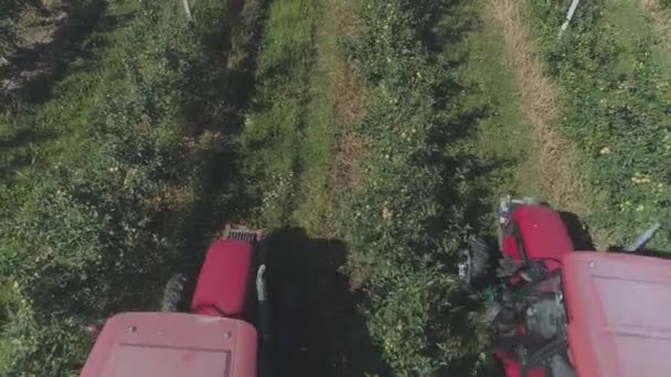 Vista Aérea Dos Tratores Que Irrigam Uma Plantação Maçãs — Vídeo de Stock