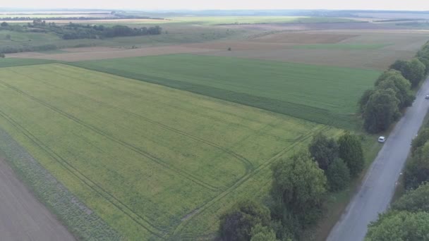 Luftaufnahme Einer Landwirtschaftlichen Fläche — Stockvideo