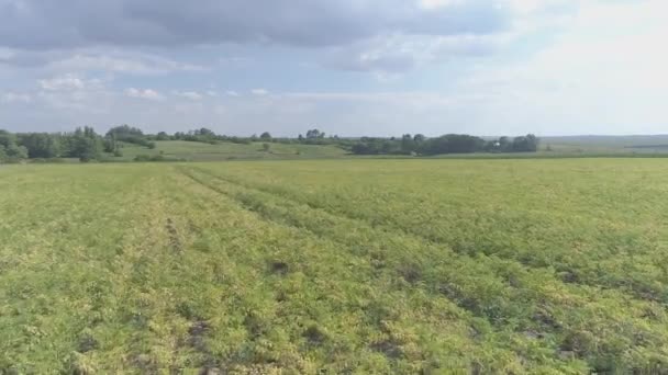 Aerial Shot Agricultural Lands — Stock videók