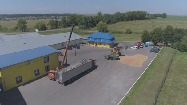 収穫物を積載するトラクターの空中図 — ストック動画