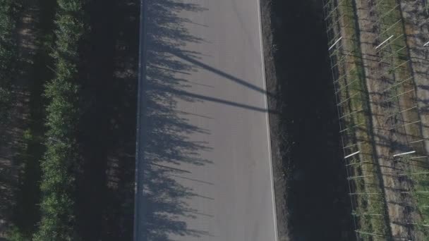 农业用地之间公路的空中景观 — 图库视频影像