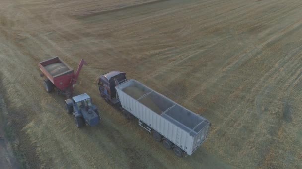 Luftaufnahme Von Lastkraftwagen Auf Einem Weizenfeld — Stockvideo