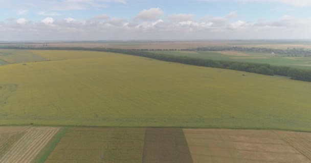 Mezőgazdasági Földterületek Légi Felvételei — Stock videók