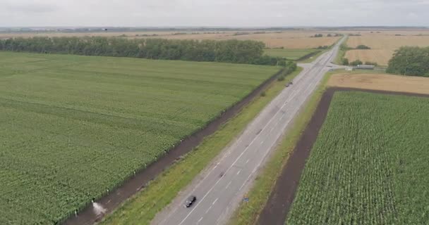 Luftaufnahme Der Straße Zwischen Grünen Flächen — Stockvideo