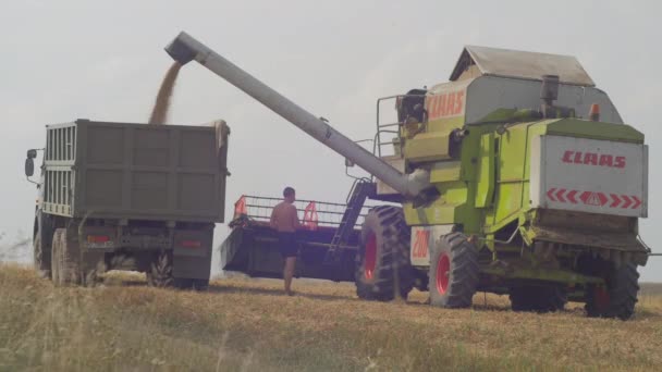 Combine Harvester Unloading Wheat Truck — Stock Video