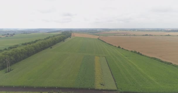 农业用地的空中景观 — 图库视频影像