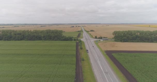Aerial View Cultivated Lands — Stock Video