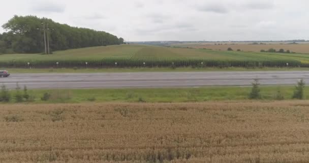 Tiro Aéreo Tierras Agrícolas — Vídeos de Stock