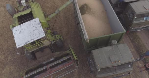 拖拉机卸下收获物的空中视图 — 图库视频影像
