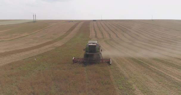 Luftaufnahme Einer Erntemaschine Auf Einem Feld — Stockvideo