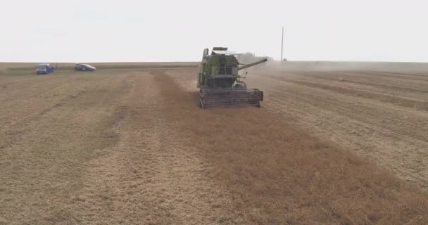 Trator Colhendo Campo — Vídeo de Stock