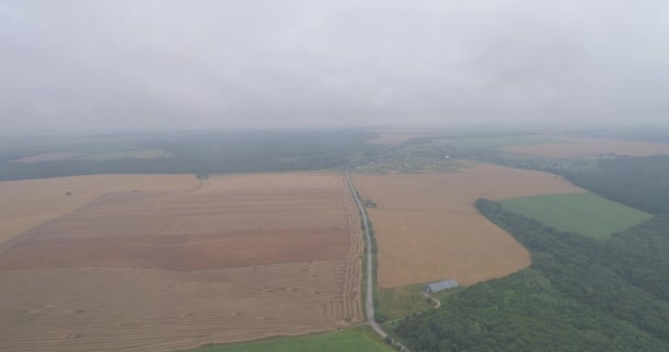 Flygfoto Över Jordbruksmark — Stockvideo