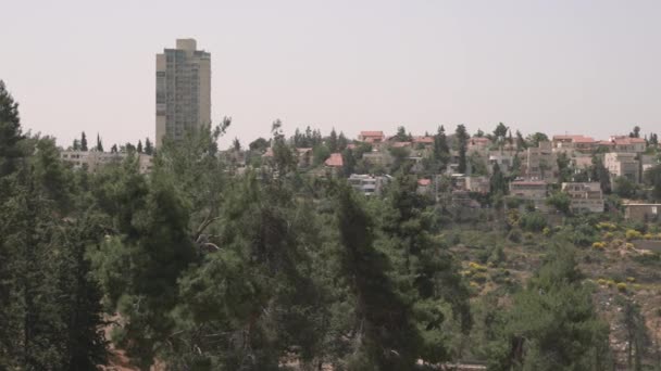 丘の上の木や建物 — ストック動画
