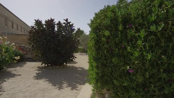 Jardín Con Flores Arbustos — Vídeo de stock
