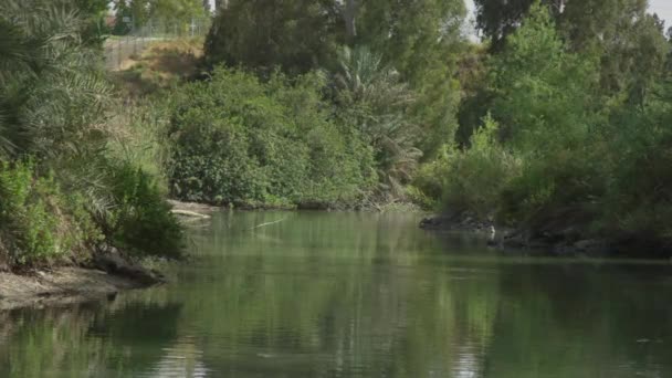 Arbustos Árboles Largo Del Río Jordán — Vídeos de Stock