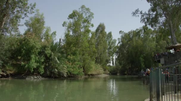 Río Jordán Árboles — Vídeos de Stock