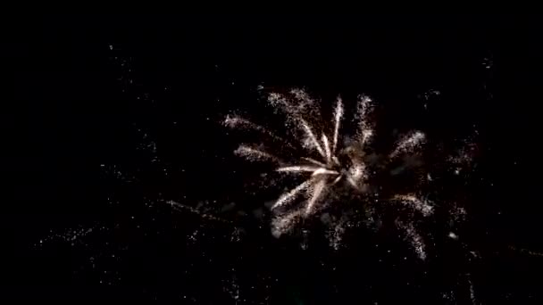 Feuerwerk Explodiert Himmel — Stockvideo