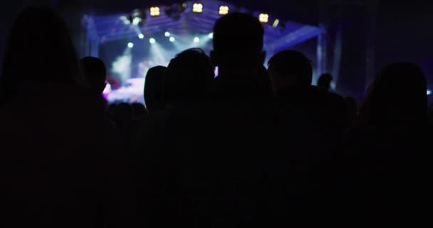 Zadní Pohled Lidi Nočních Koncertech — Stock video