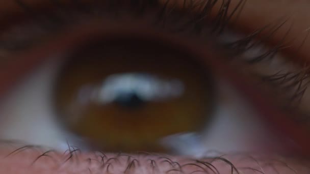 Close Van Een Bruin Oog — Stockvideo