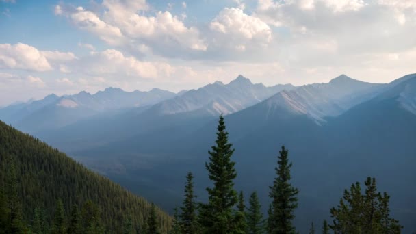 Timelapse Mountains Coniferous Trees — Stock Video