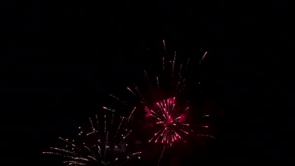 Fuegos Artificiales Brillantes Color Por Noche — Vídeos de Stock