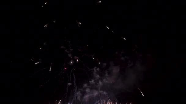 Imagini Focuri Artificii Noaptea — Videoclip de stoc