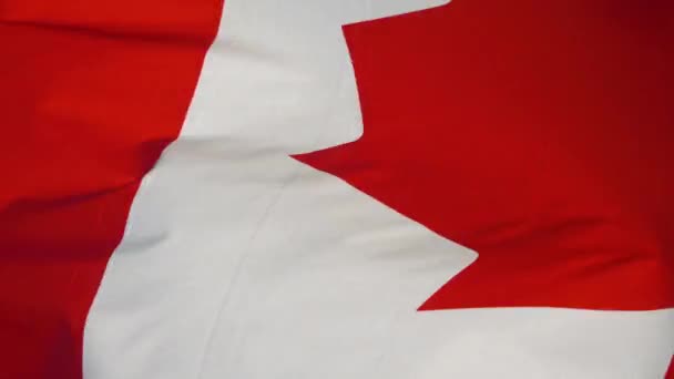 Närbild Kanadas Flagga — Stockvideo
