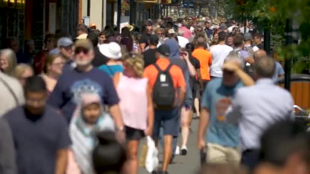 Trottoir Surpeuplé Canada — Video