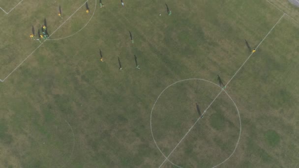 サッカー場の選手の空中ビュー — ストック動画