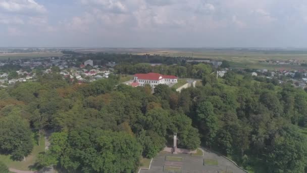 Aerial View Region Ternopil — Stock Video