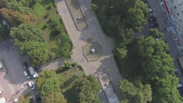 Luchtfoto Van Een Fontein Een Park — Stockvideo