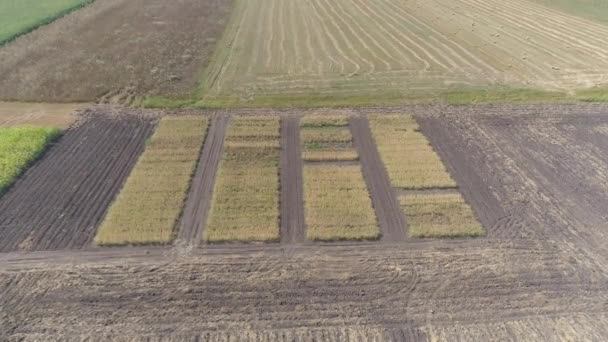 収穫した畑の空中風景 — ストック動画