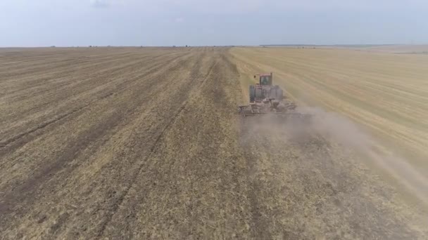 Luftaufnahme Eines Traktors Der Auf Einer Plantage Pflügt — Stockvideo