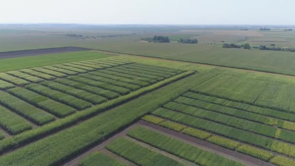 Luchtfoto Van Landbouwgrond — Stockvideo