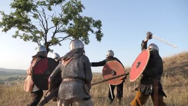 Hombres Ropa Medieval Luchando Aire Libre — Vídeo de stock