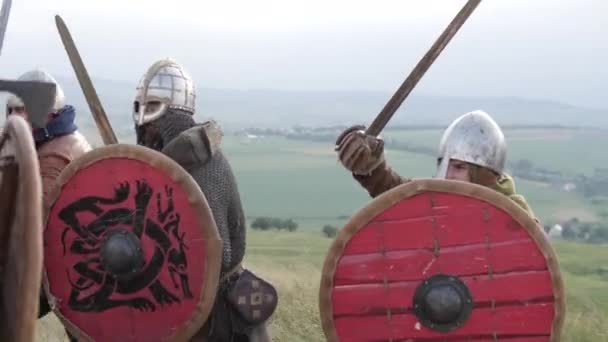 Vikingen Het Slagveld — Stockvideo