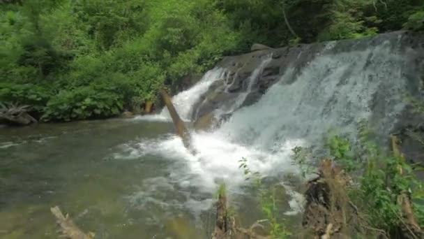 Hermosa Vista Cascada Las Plantas — Vídeos de Stock