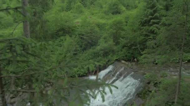 Водоспад Ліс — стокове відео